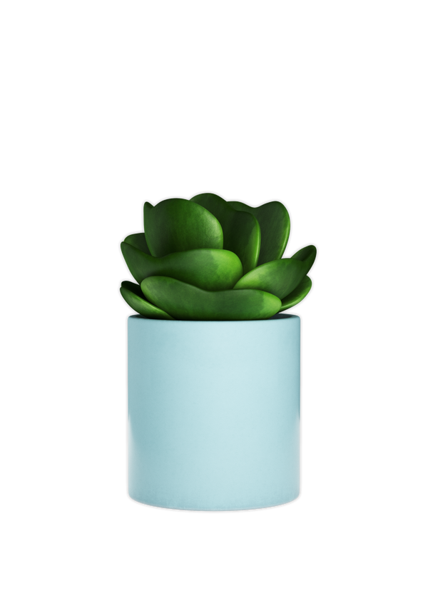 Bring a touch of nature to your desk space with a blue plant pot