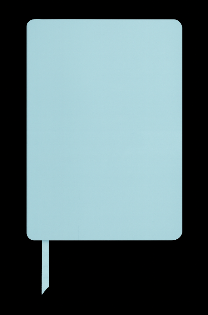A6 Mini Notebook - Clarity