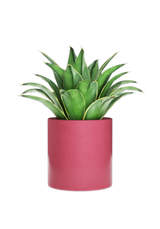Bring a touch of nature to your desk space with a red plant pot