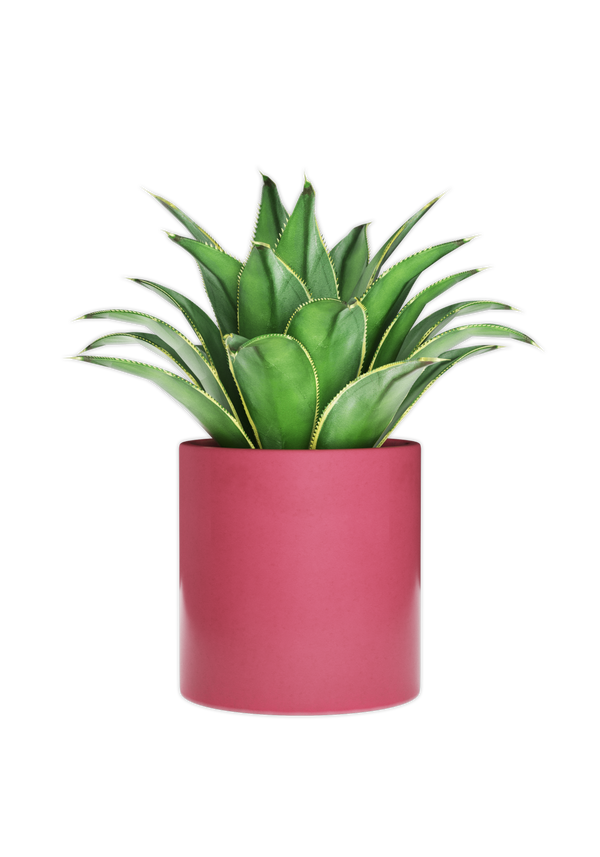 Bring a touch of nature to your desk space with a red plant pot