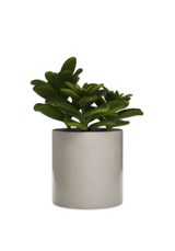 Bring a touch of nature to your desk space with a grey plant pot