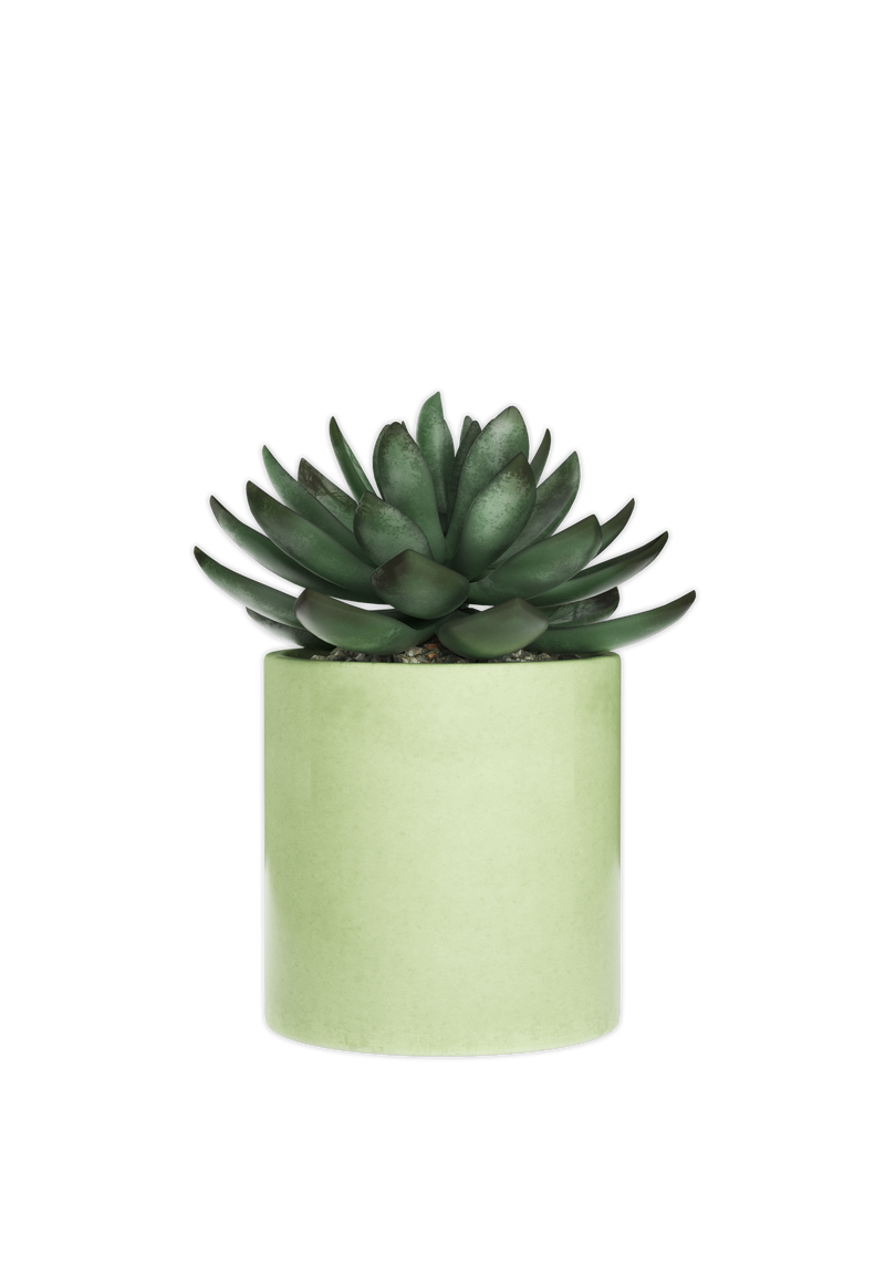 Bring a touch of nature to your desk space with a green plant pot