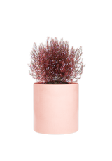 Bring a touch of nature to your desk space with a peach plant pot